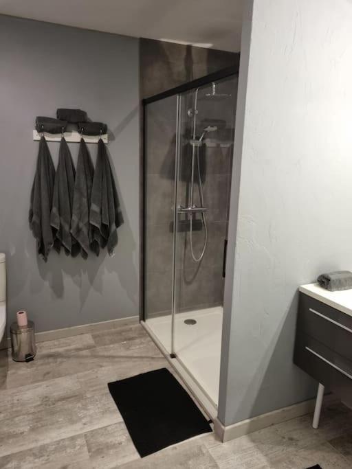 Grand Appartement Pres De La Cathedrale De カンペール エクステリア 写真